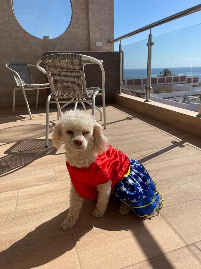 El Faro Hotel Chala Eksteriør billede